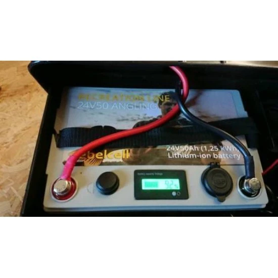 Rebelcell 24V50 Batería Separada 8 Rebelcell 24V50 Batería Separada - Imagen 6