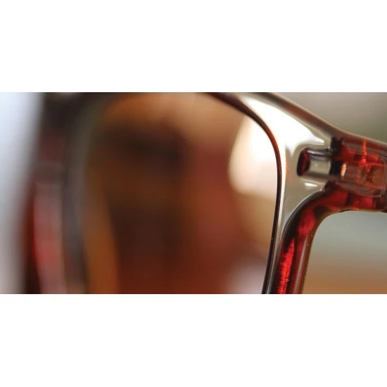 Fortis Eyewear Gafas De Sol Strokes 24 7 Marrón 4 Fortis Eyewear Gafas De Sol Strokes 24 7 Marrón - Imagen 2