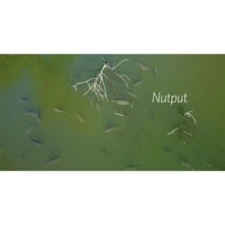 Alijn Danau La Venganza De La Púa -DYNAMITE BAITS Tienda de ventas Alijn20Danau20De20Wraak20van20de20Weerhaak3 550x550w