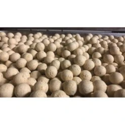 CBB Cananga Blanco Boilies 1kg -DYNAMITE BAITS Tienda de ventas CBB20Baits20White20Cananga20Team20Outdoors3 550x550w