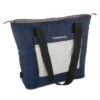 Campingaz Cooler Bag Bolsa De Transporte 13 Litros Azul-Gris 1 Campingaz Cooler Bag Bolsa De Transporte 13 Litros Azul-Gris -DYNAMITE BAITS Tienda de ventas Campingaz Koeltas Carry bag 13 Liter Blauw Grijs 550x550w