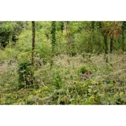 Fortis Eyewear Chaqueta Marina Realtree -DYNAMITE BAITS Tienda de ventas DSC00087 550x550w