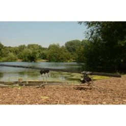 Podo Mundial P1 Solar -DYNAMITE BAITS Tienda de ventas DSC 0915 550x550w