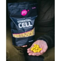 Mainline Shelf Life Boilies Essential Cell 1kg -DYNAMITE BAITS Tienda de ventas Essential20Cell20Boilies1 550x550h