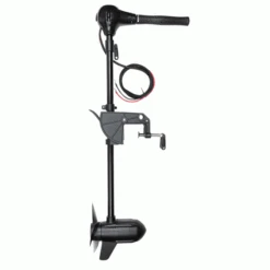 Motor Fox 80lb 12v BL