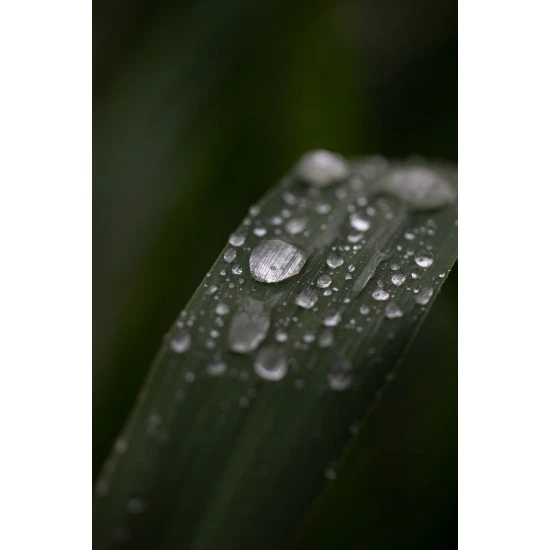 Funda Para Vadeador Korda Compac 19 Funda Para Vadeador Korda Compac - Imagen 17