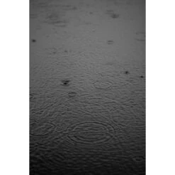 Funda Para Vadeador Korda Compac 37 Funda Para Vadeador Korda Compac -DYNAMITE BAITS Tienda de ventas IMG 5436 550x550h