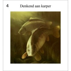 Rob Schneider Carpa A La Vista -DYNAMITE BAITS Tienda de ventas Karper20in20zicht205 550x550h