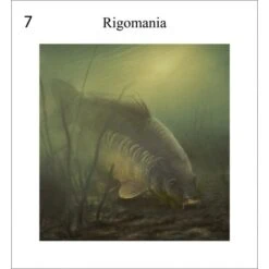 Rob Schneider Carpa A La Vista -DYNAMITE BAITS Tienda de ventas Karper20in20zicht209 550x550h