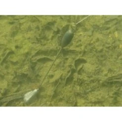 Voz De Marcador De Korda 11 Voz De Marcador De Korda -DYNAMITE BAITS Tienda de ventas Korda20Marker20Stem4 550x550w