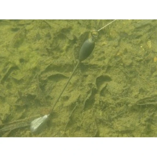 Voz De Marcador De Korda 7 Voz De Marcador De Korda - Imagen 5