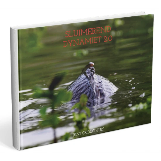 Rini Groothuis Dinamita Inactiva 2.0 3 Rini Groothuis Dinamita Inactiva 2.0