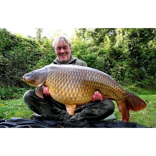 Rini Groothuis Dinamita Inactiva 2.0 4 Rini Groothuis Dinamita Inactiva 2.0 - Imagen 2