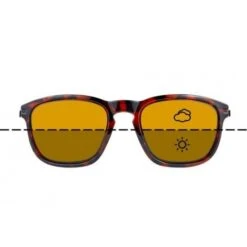 DYNAMITE BAITS Tienda de ventas -DYNAMITE BAITS Tienda de ventas Switch20Zonnebril 550x550w