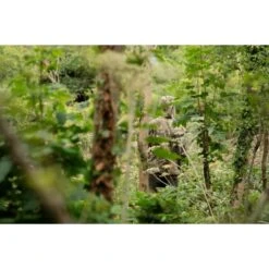 Fortis Eyewear Chaqueta Marina Realtree -DYNAMITE BAITS Tienda de ventas Wide 550x550w