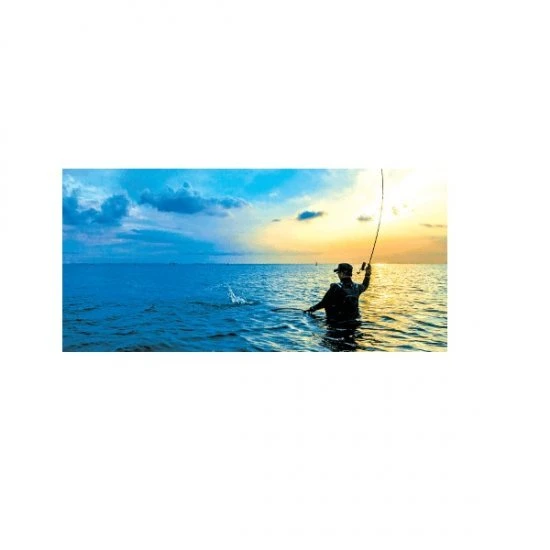 Shimano Beastmaster 10000 XB 5 Shimano Beastmaster 10000 XB - Imagen 3