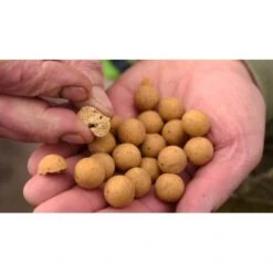 CC Moore Live System Vida útil Boilies 10 Mm -DYNAMITE BAITS Tienda de ventas cc moore najaar live system header 5 team outdoors 550x550w 2