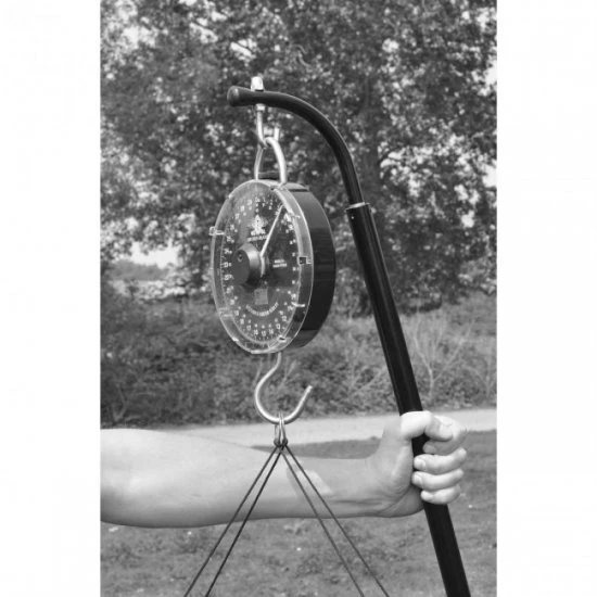 Gancho De Pesaje Cygnet Easylift 4 Gancho De Pesaje Cygnet Easylift - Imagen 2