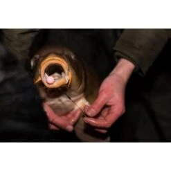 CC Moore Dairy Supreme Plus Pop Ups Gama Elite 13-14mm -DYNAMITE BAITS Tienda de ventas dairy supreme plus 5 team outdoors 550x550w