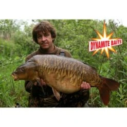 DYNAMITE BAITS Dinamita CarpTec Boilies Krill Y Cigalas 20mm 1.8kg 8 DYNAMITE BAITS Dinamita CarpTec Boilies Krill Y Cigalas 20mm 1.8kg -DYNAMITE BAITS Tienda de ventas dynamite complex t 12mm 1kg boilies team outdoors nl a20764 550x550w 70