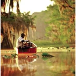 Minn Kota Endura C2 34 Libras 11 Minn Kota Endura C2 34 Libras -DYNAMITE BAITS Tienda de ventas endura20c2207 550x550h 1