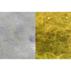 Fortis Eyewear Gafas De Sol OverWraps 24 7 Marrón 21 Fortis Eyewear Gafas De Sol OverWraps 24 7 Marrón -DYNAMITE BAITS Tienda de ventas fortis overwraps foto2 team outdoors 550x550w