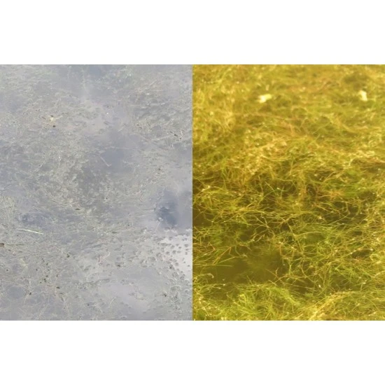 Fortis Eyewear Gafas De Sol OverWraps 24 7 Marrón 12 Fortis Eyewear Gafas De Sol OverWraps 24 7 Marrón - Imagen 10