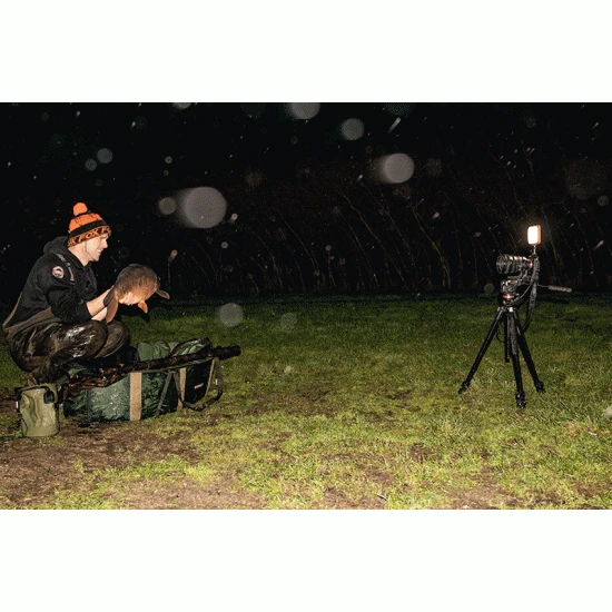 Luz De Fotografía Fox Halo 9 Luz De Fotografía Fox Halo - Imagen 7