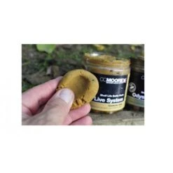 CC Moore Live System Shelf Life Paste Tarro De 300 G -DYNAMITE BAITS Tienda de ventas pasta live 17 team outdoors 550x550w